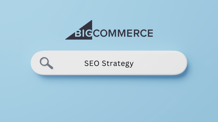 BigCommerce SEO Guide 2025, Checklist To Rank Higher On Google