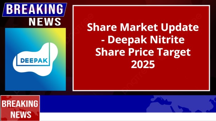 Deepak Nitrite Share Price Target 2025 - MoneyInsight