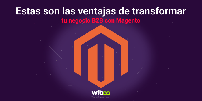 Estas son las ventajas de transformar tu negocio B2B con Magento ...
